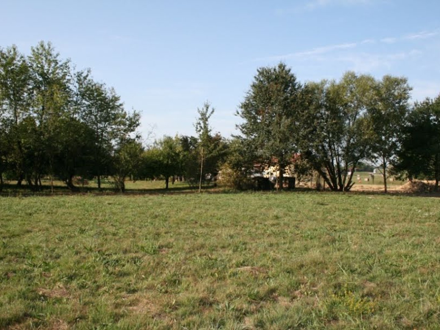 Terrain 350 m²