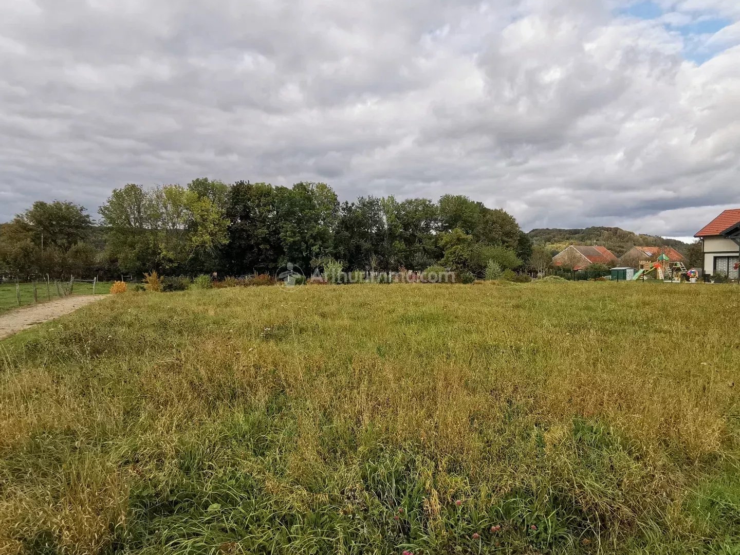 Terrain à vendre - Saint-Blin (52700)