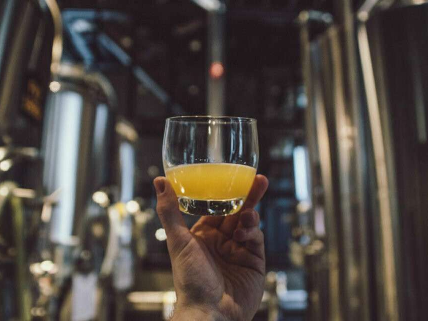 Vente microbrasserie à Angers première couronne