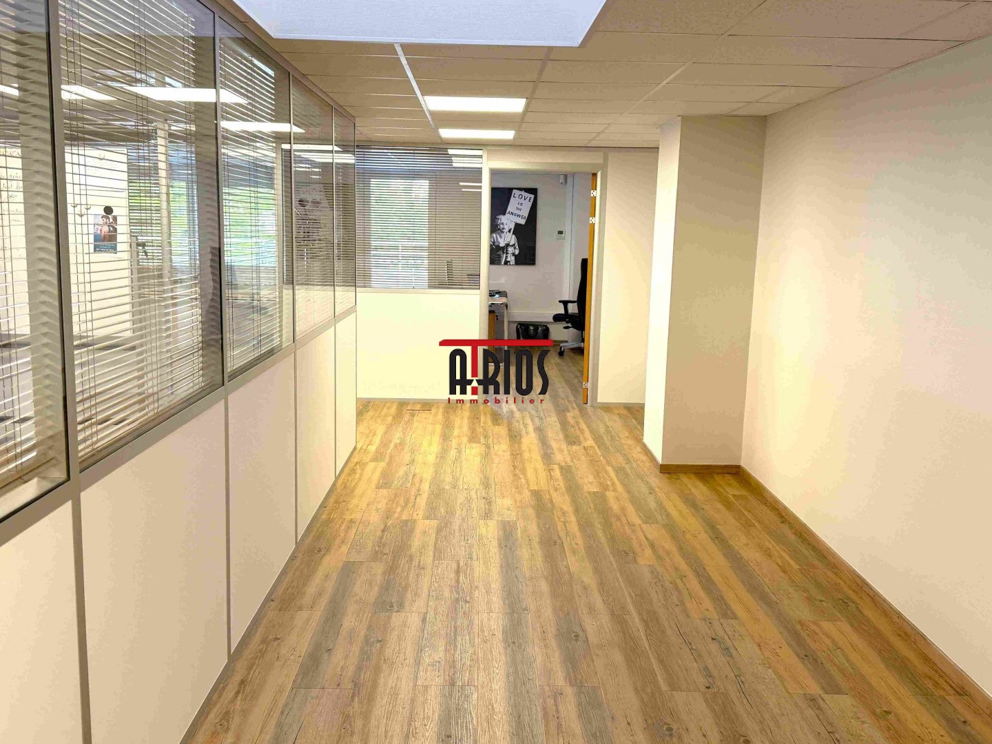 Local professionnel 246 m²