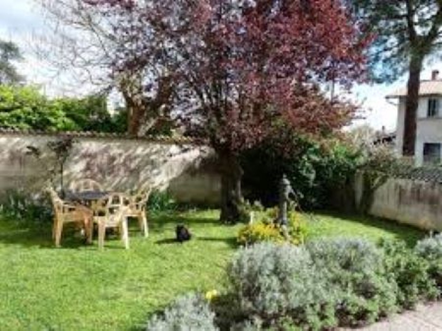 Studio 1 pièce 38 m²