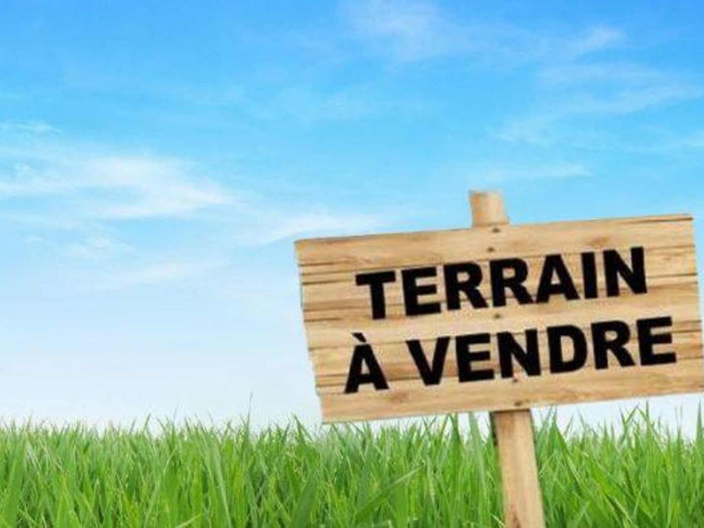 Terrain 971 m²