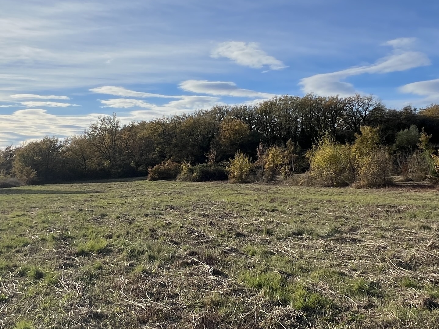 Terrain 14257 m²
