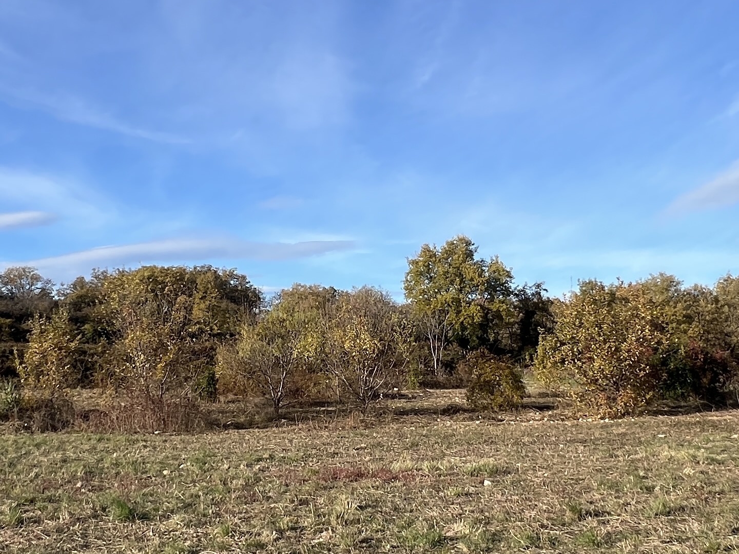 Terrain à vendre - 14257m2 - Martignargues (30360)