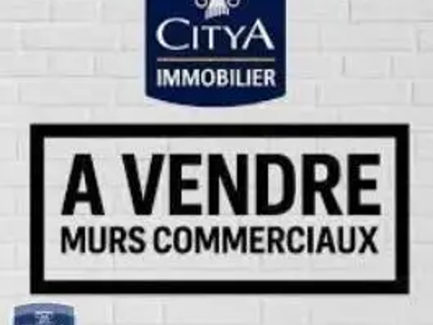 Local professionnel 285 m²