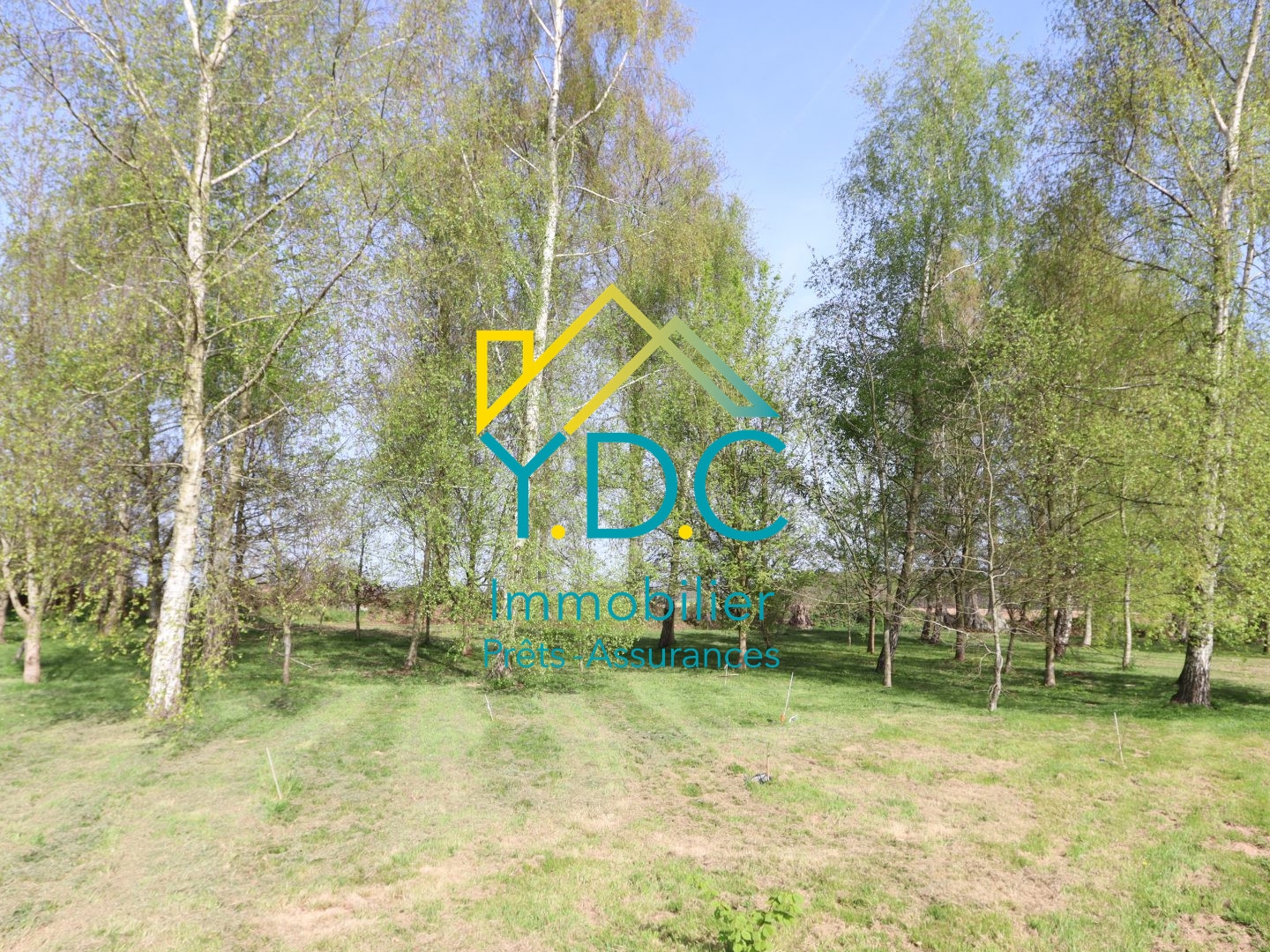 Immeuble à vendre - 531m2 - Doudeville (76560)