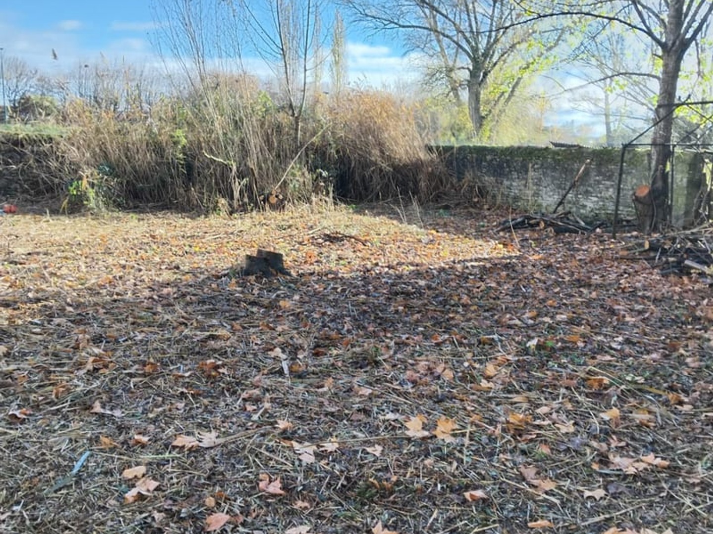 Magasin à vendre - 3543m2 - Bussières-Et-Pruns (63260)