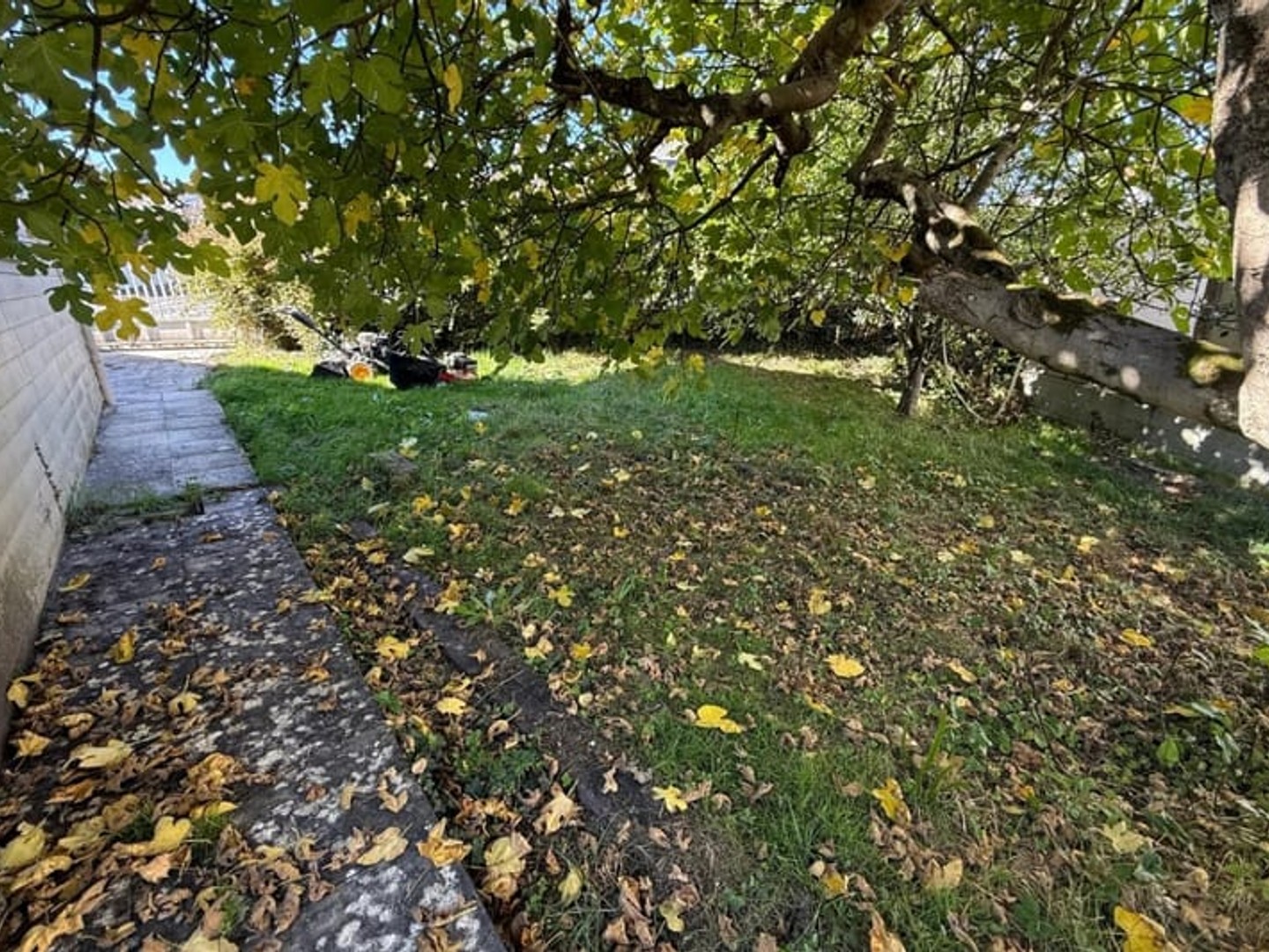 Maison avec grand jardin ou Terrain à construire