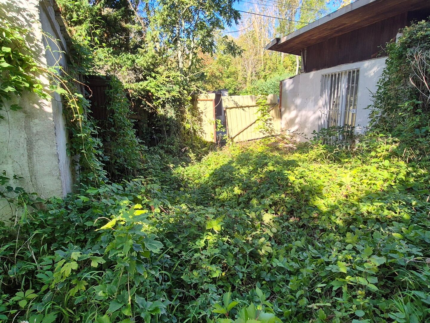 Terrain 159 m²