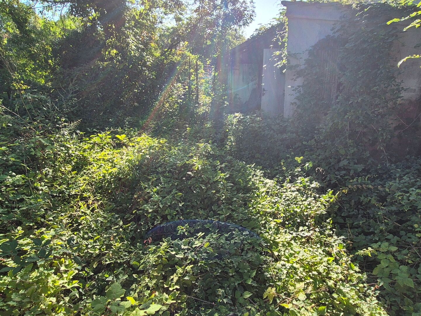 Terrain à vendre - 159m2 - Vauréal (95490)