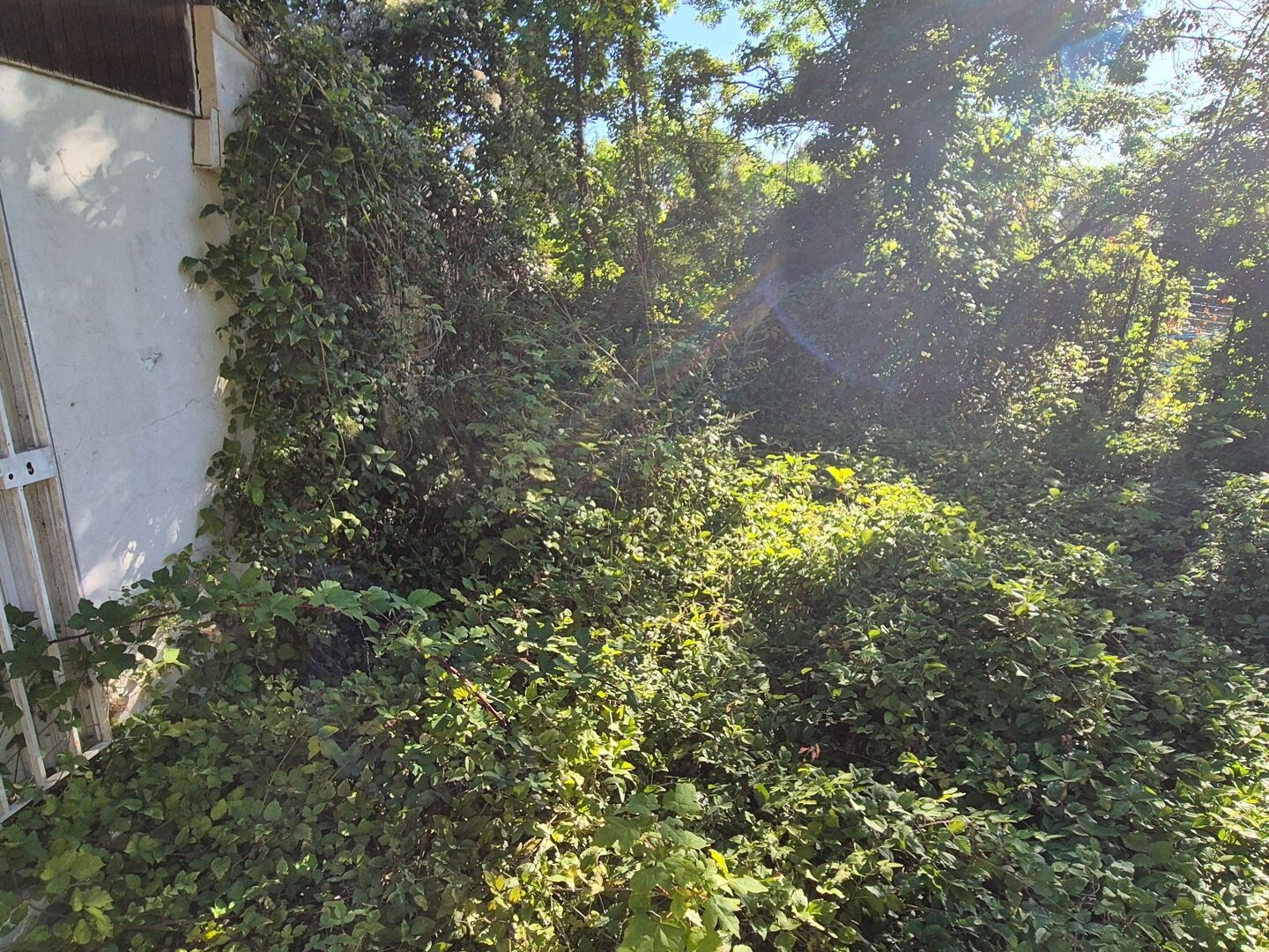 Terrain à vendre - 159m2 - Vauréal (95490)