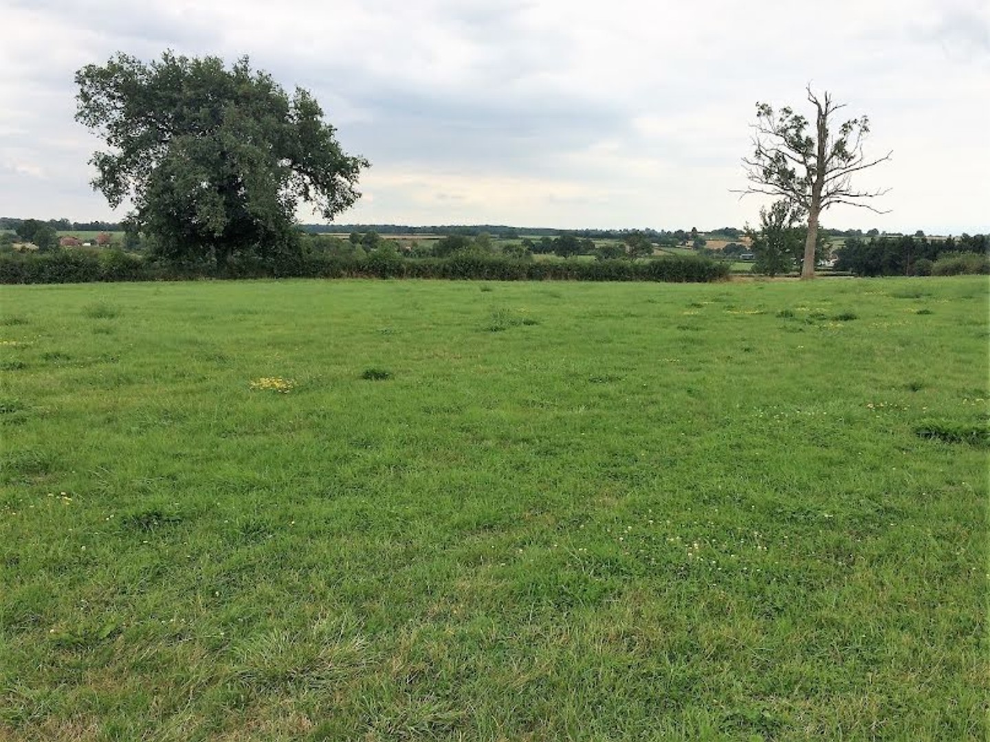 Terrain 1323 m²