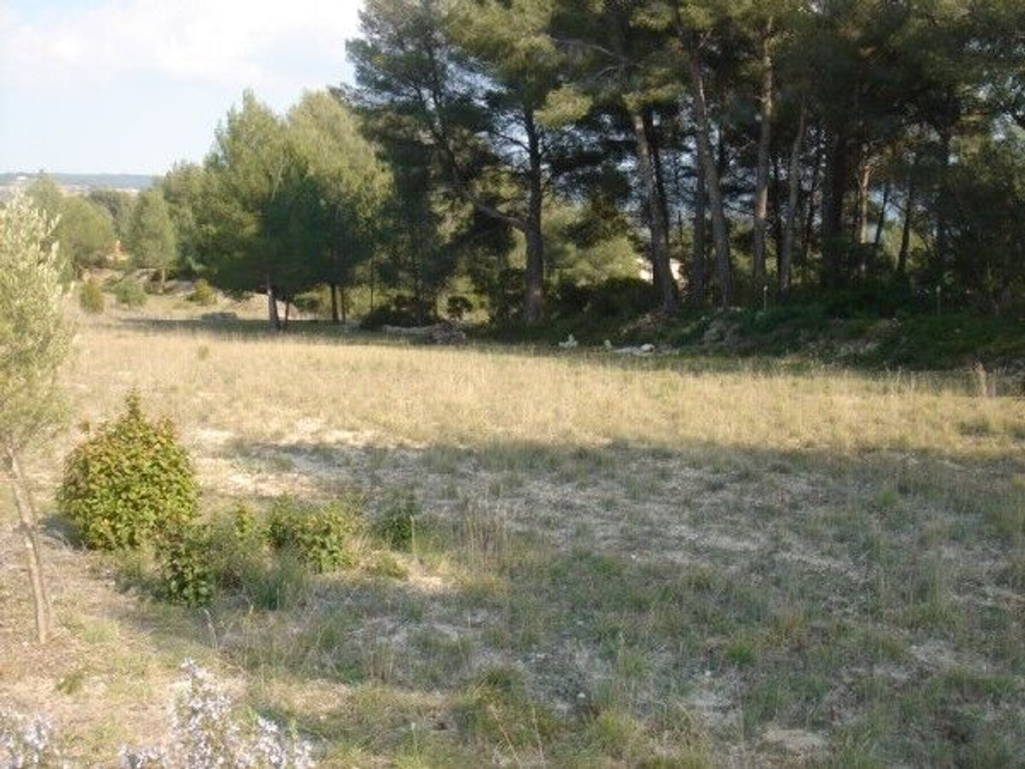 Terrain 3499 m²