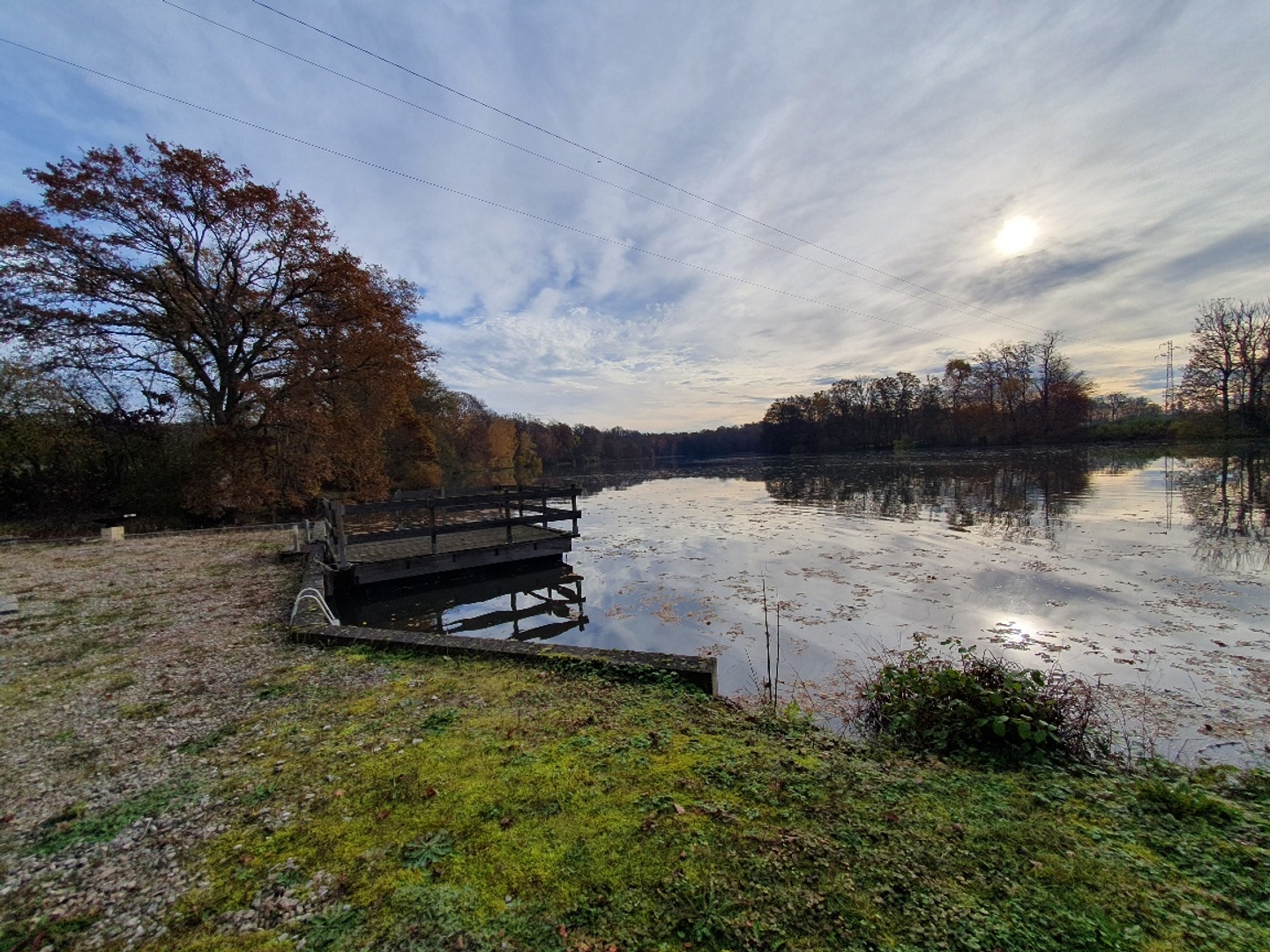 Terrain 84646 m²