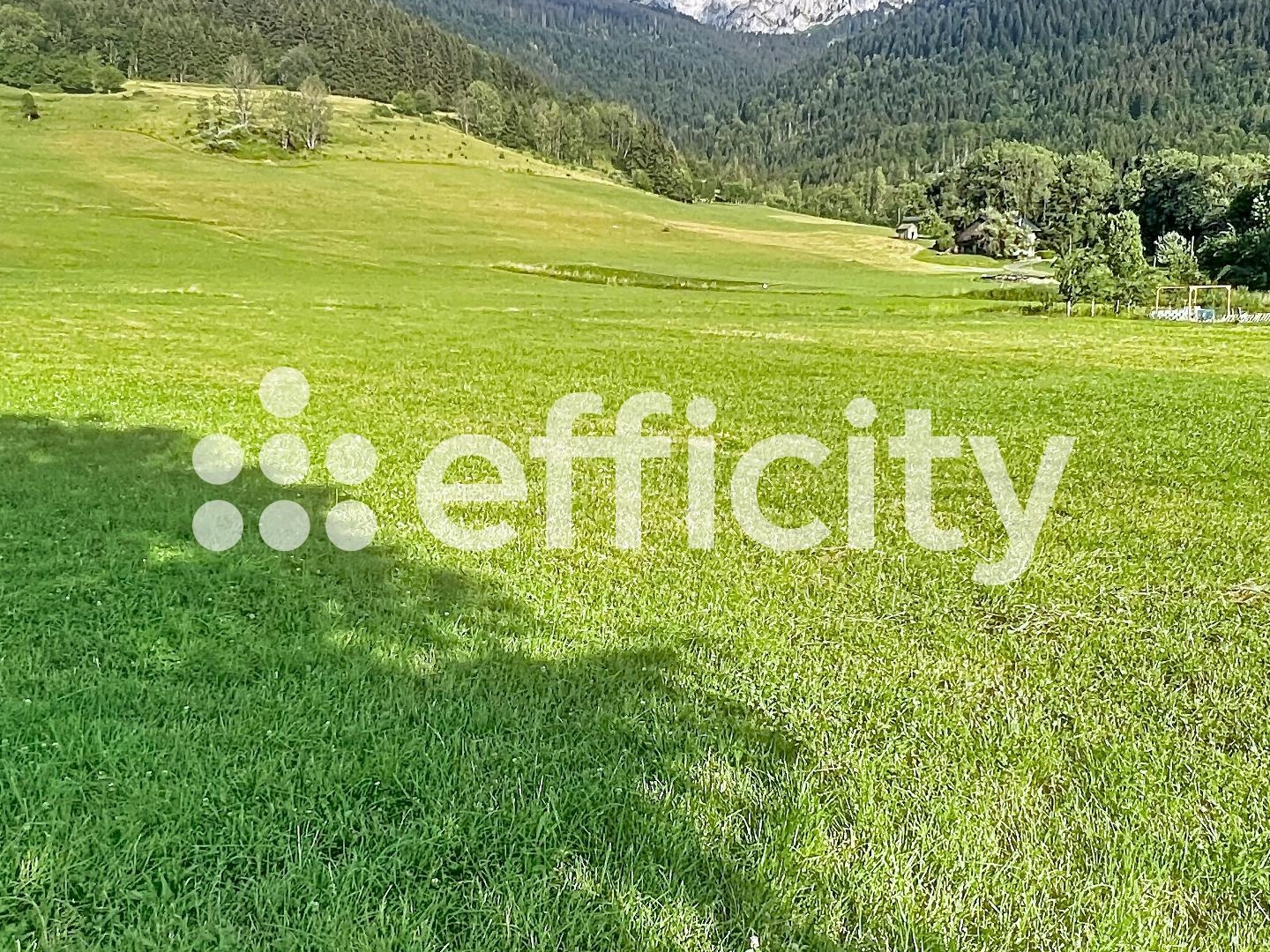 Terrain 16205 m²