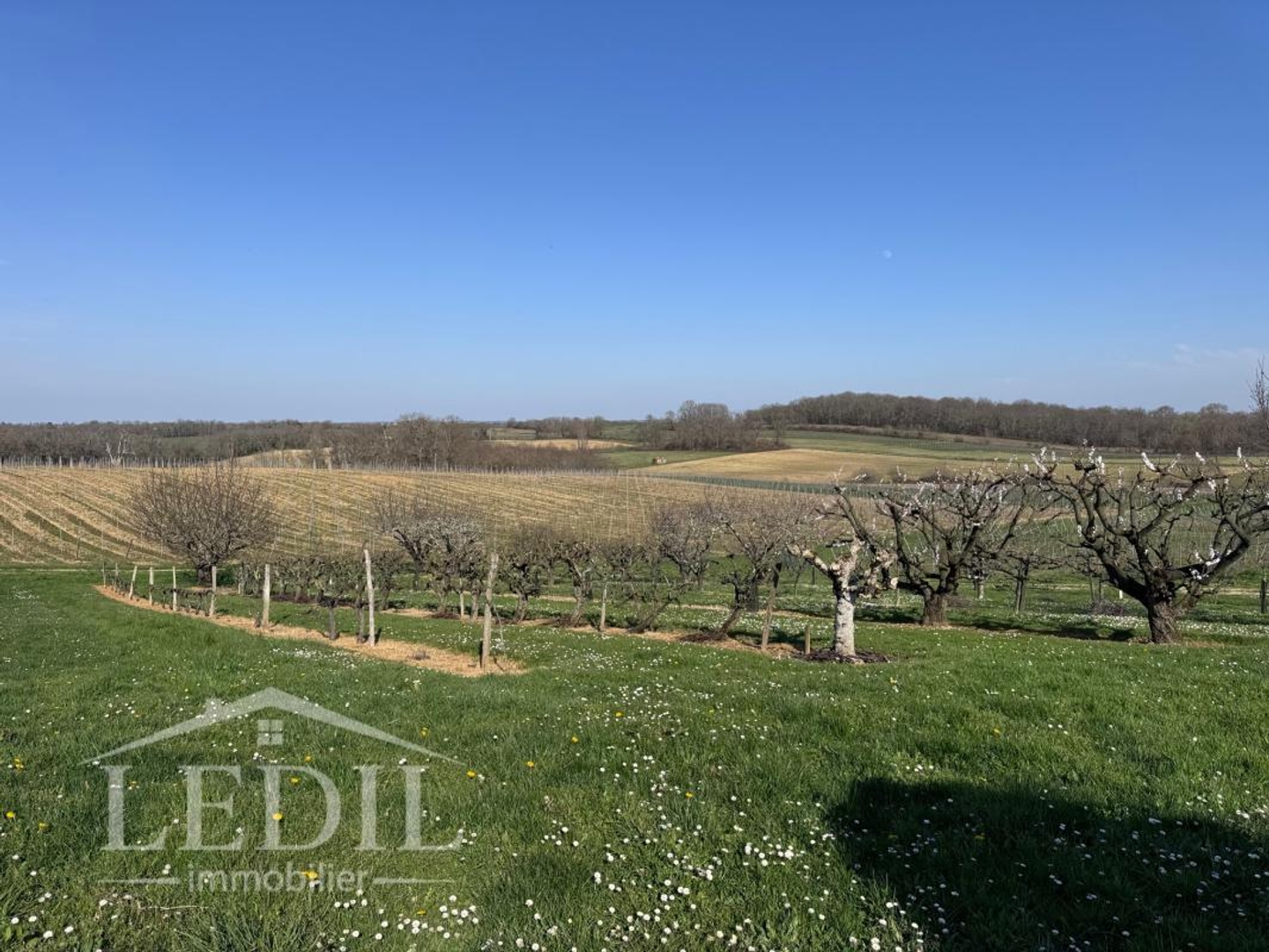 Maison à vendre - 6 pièces - 330m2 - Valence-Sur-Baïse (32310)