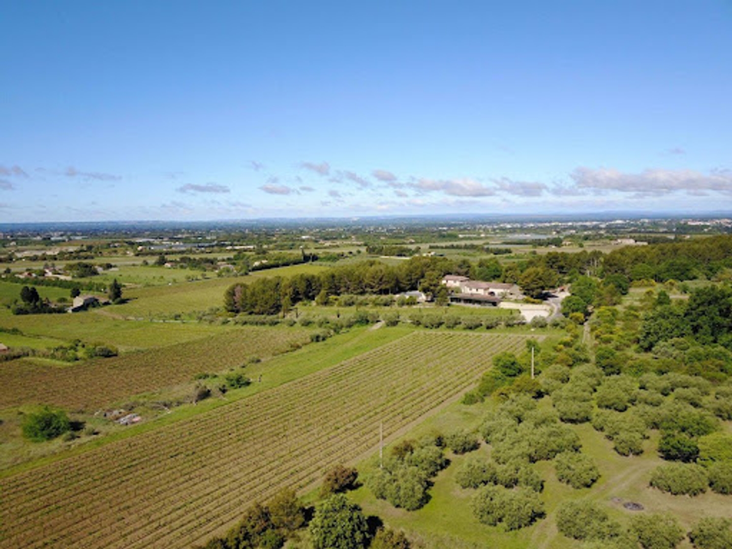 Terrain à vendre - 180000m2 - Mazan (84380)