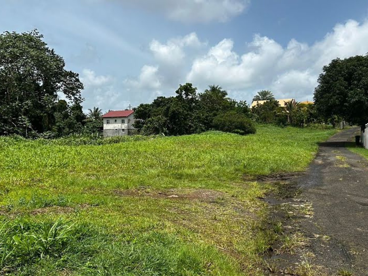 Terrain 1998 m²