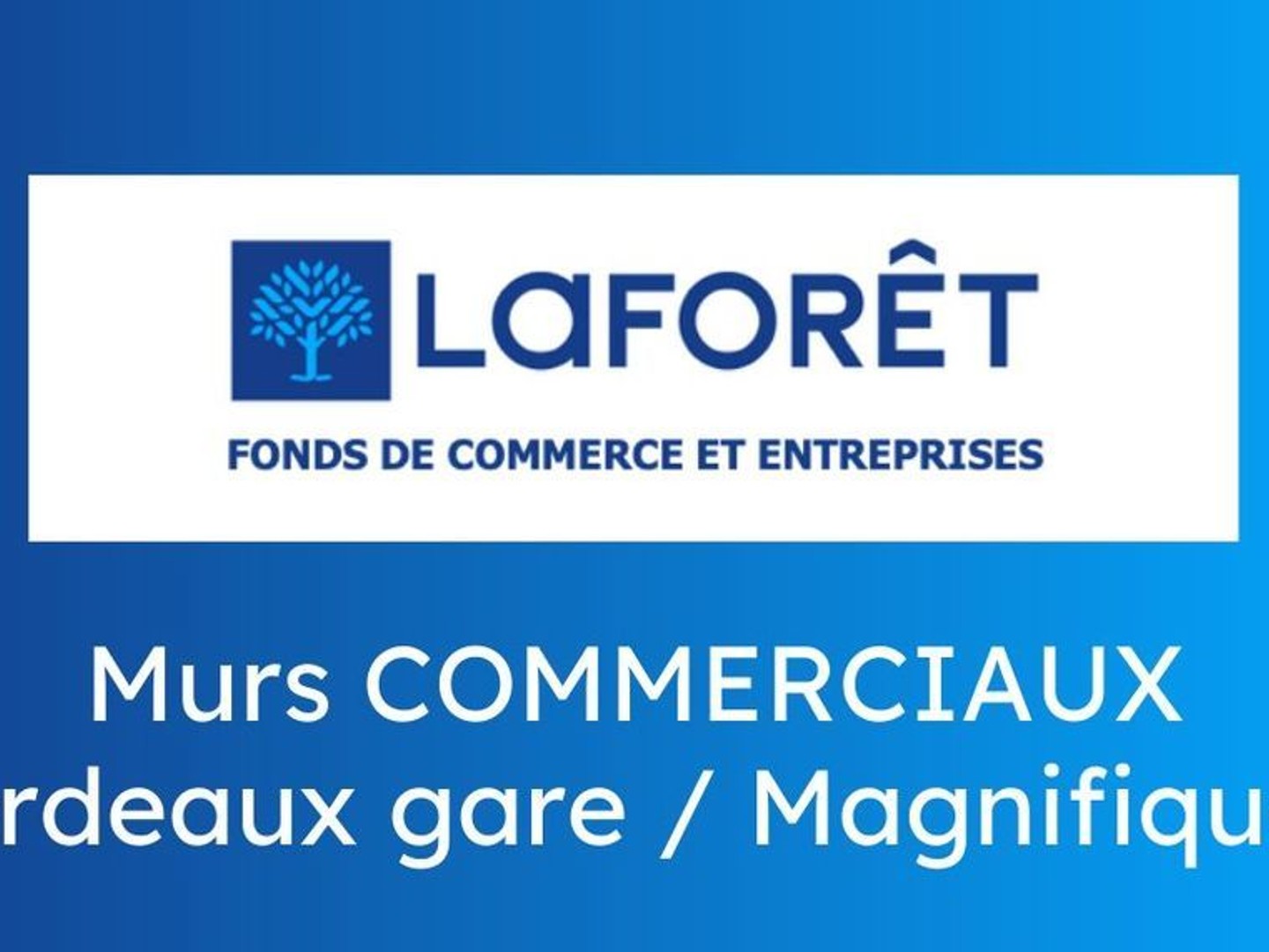 Magnifiques murs commerciaux Bordeaux gare