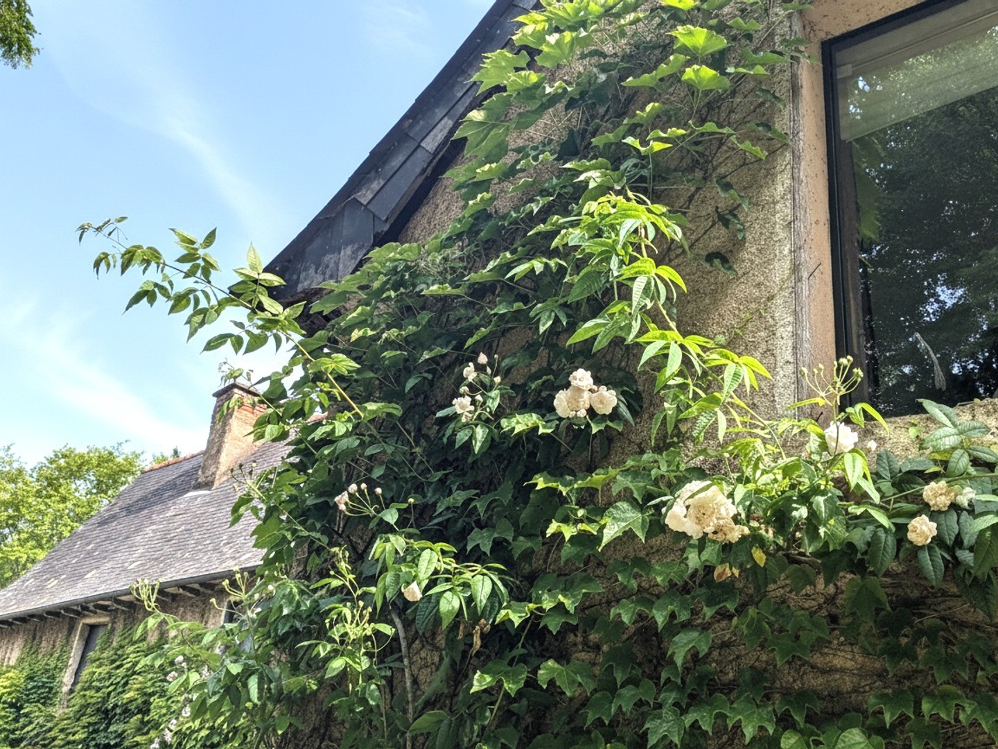 Maison à vendre - 9 pièces - 315m2 - Saint-Grégoire (35760)