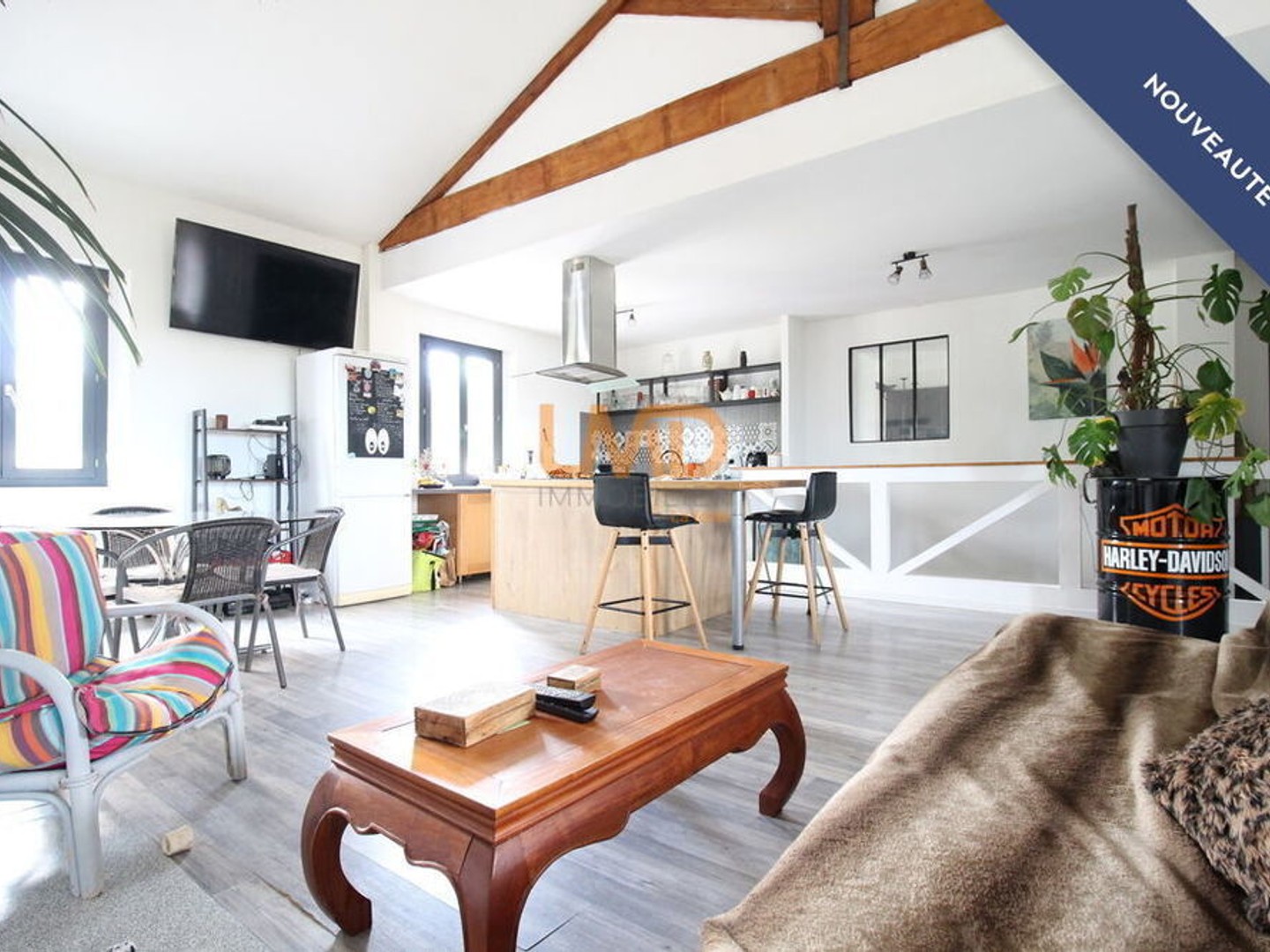 Ensemble immobilier à fort potentiel avec loft + commerce