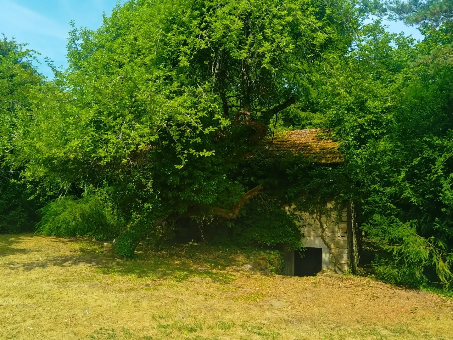 Maison à vendre - 6 pièces - 130m2 - Nogent (52800)
