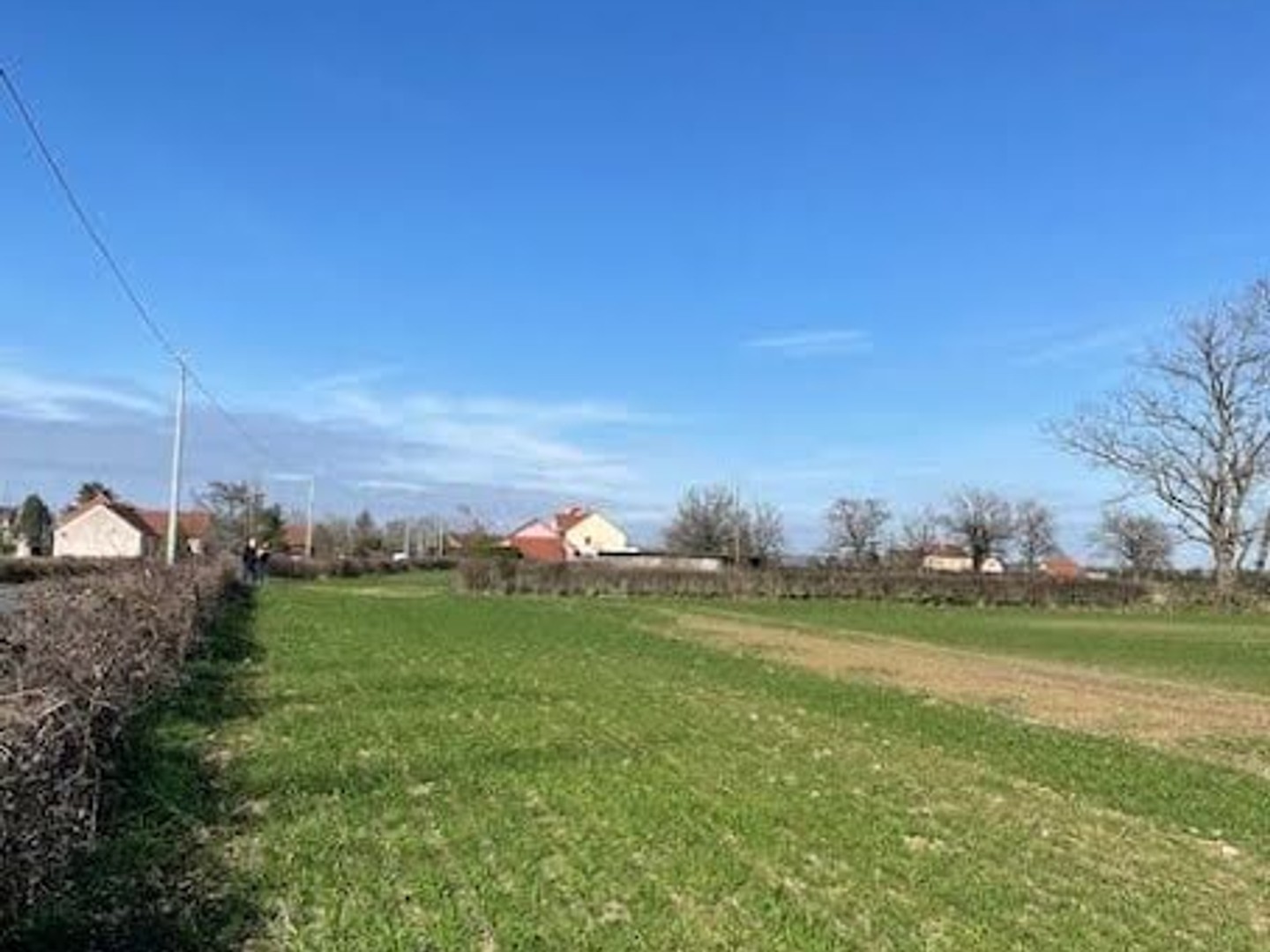 Terrain 1000 m²