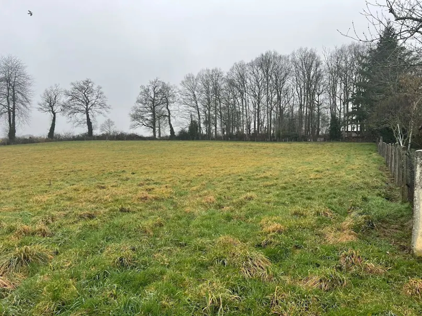 Terrain 9887 m²