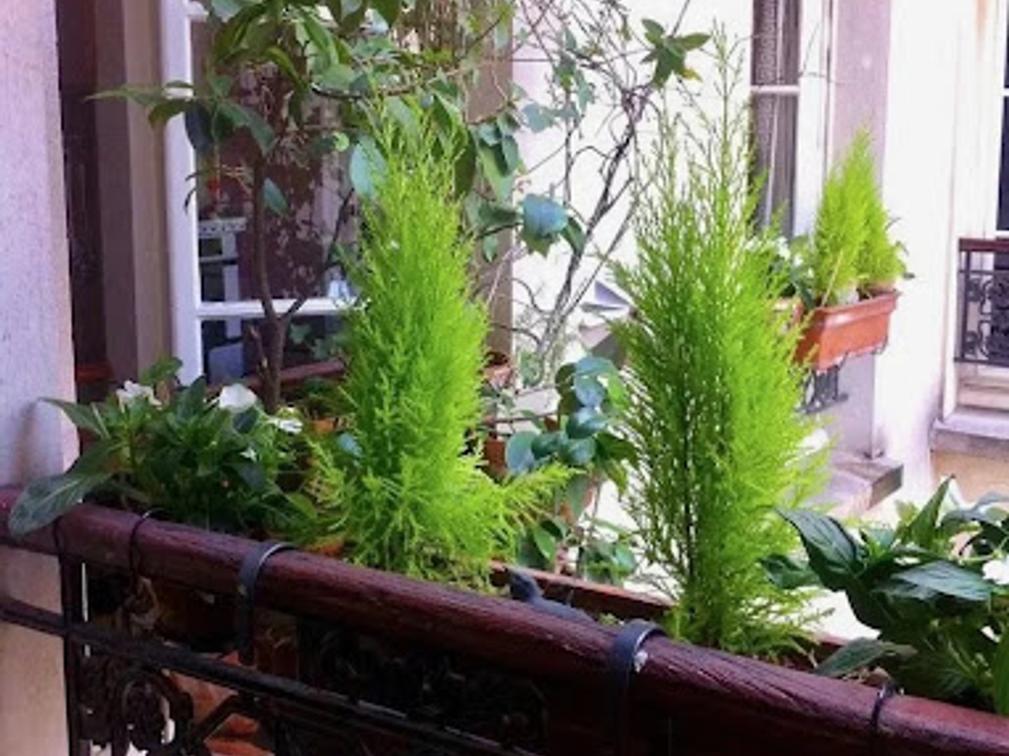 Appartement à vendre - 3 pièces - 55m2 - Paris 6e (75006)