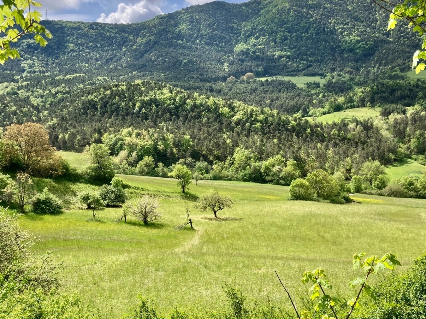 Terrain 12283 m²