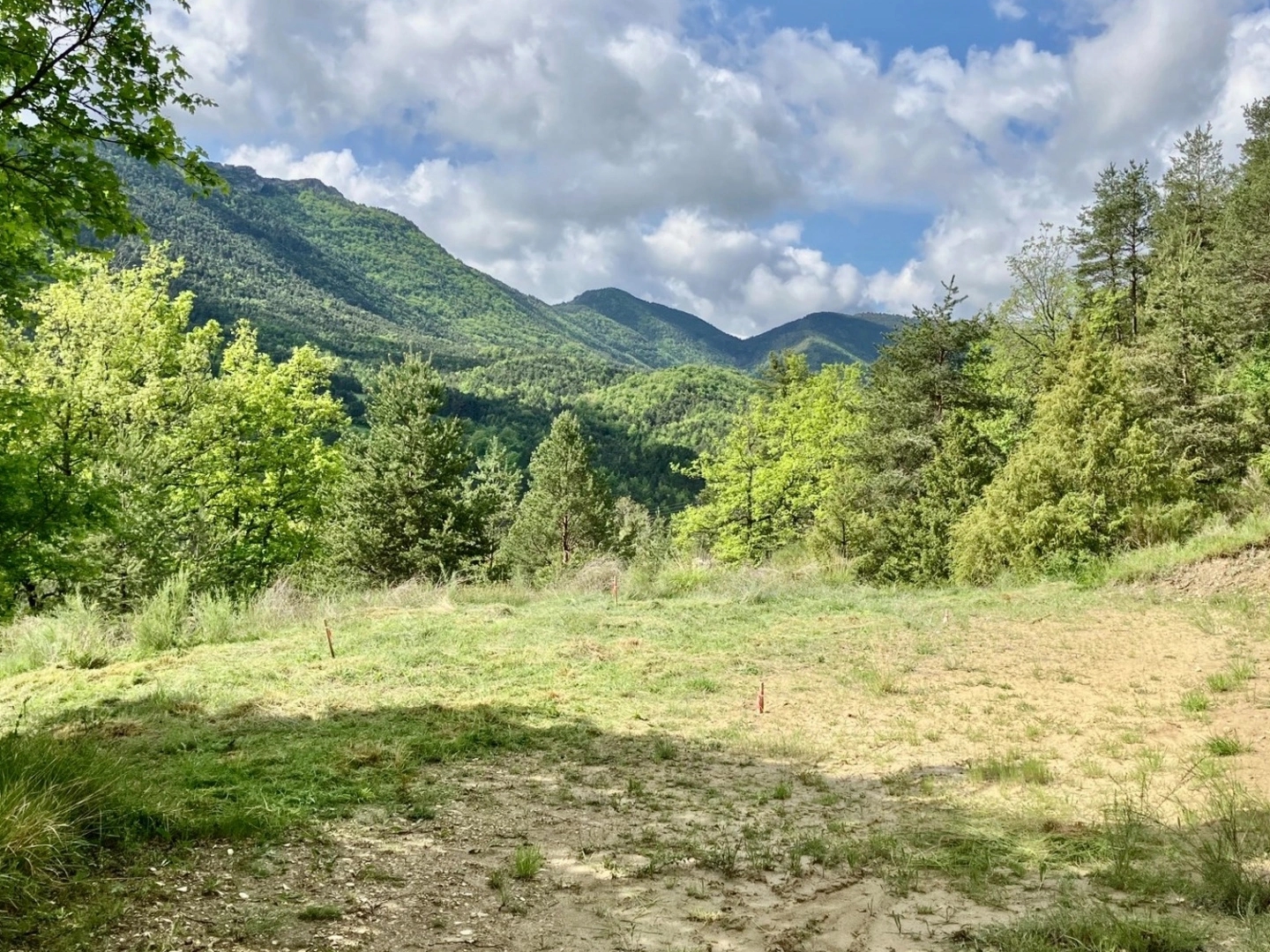 Terrain à vendre - 12283m2 - Val-De-Chalvagne (04320)