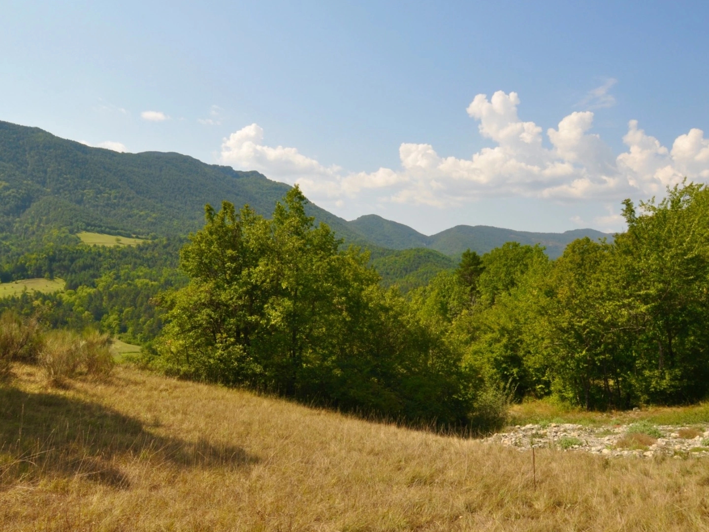 Terrain à vendre - 12283m2 - Val-De-Chalvagne (04320)