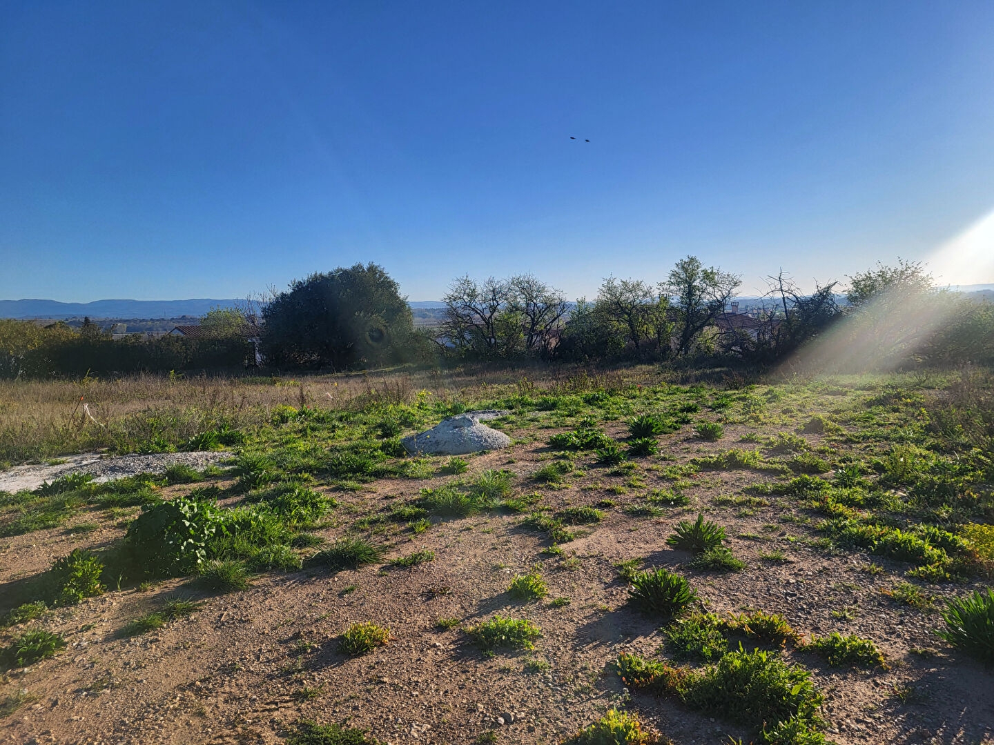 Terrain en individuel 456 m²