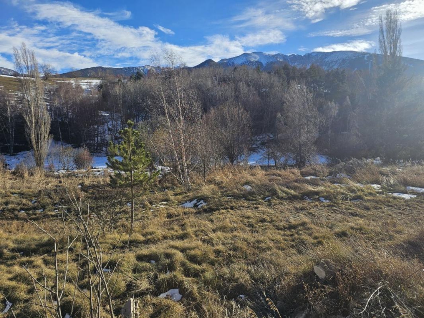 Terrain en individuel 341 m²