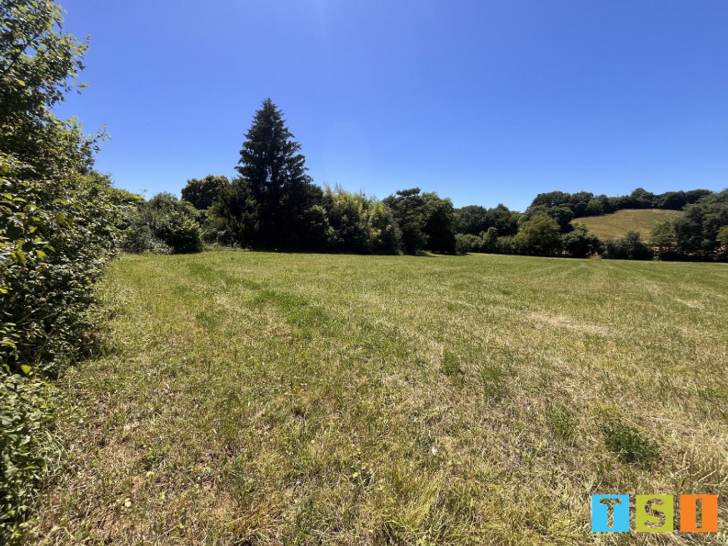 Terrain à vendre - 2918m2 - Aulon (31420)