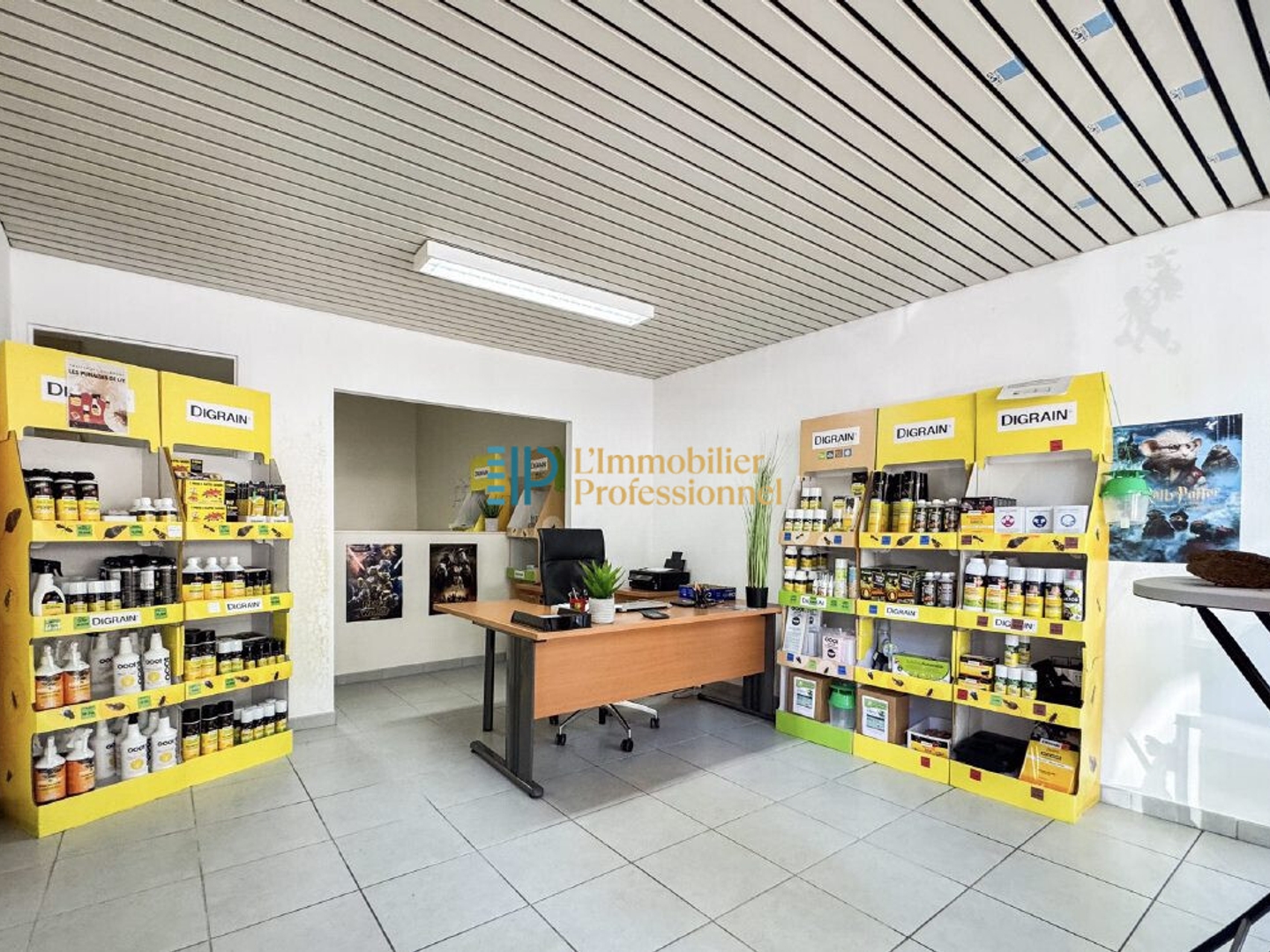 Immobilier Professionnel à vendre Lorient