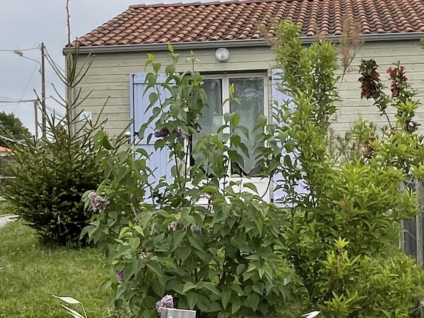 Maison à vendre - 3 pièces - 69m2 - Saint-Hilaire-La-... (85440)