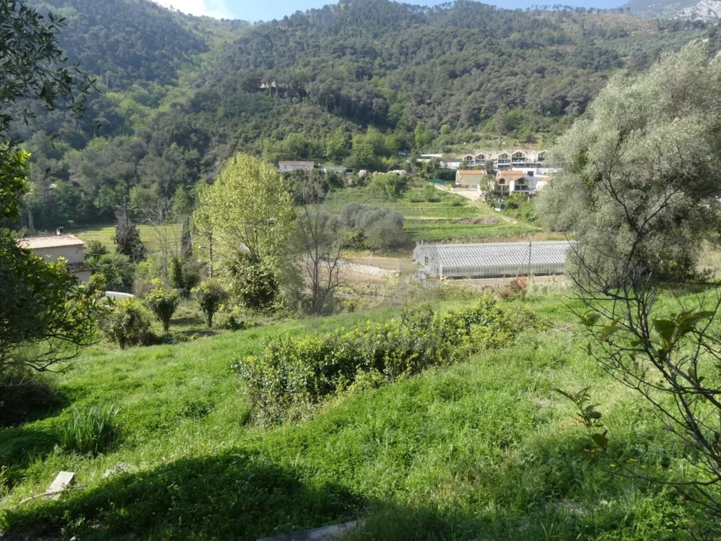 TERRAIN GORBIO