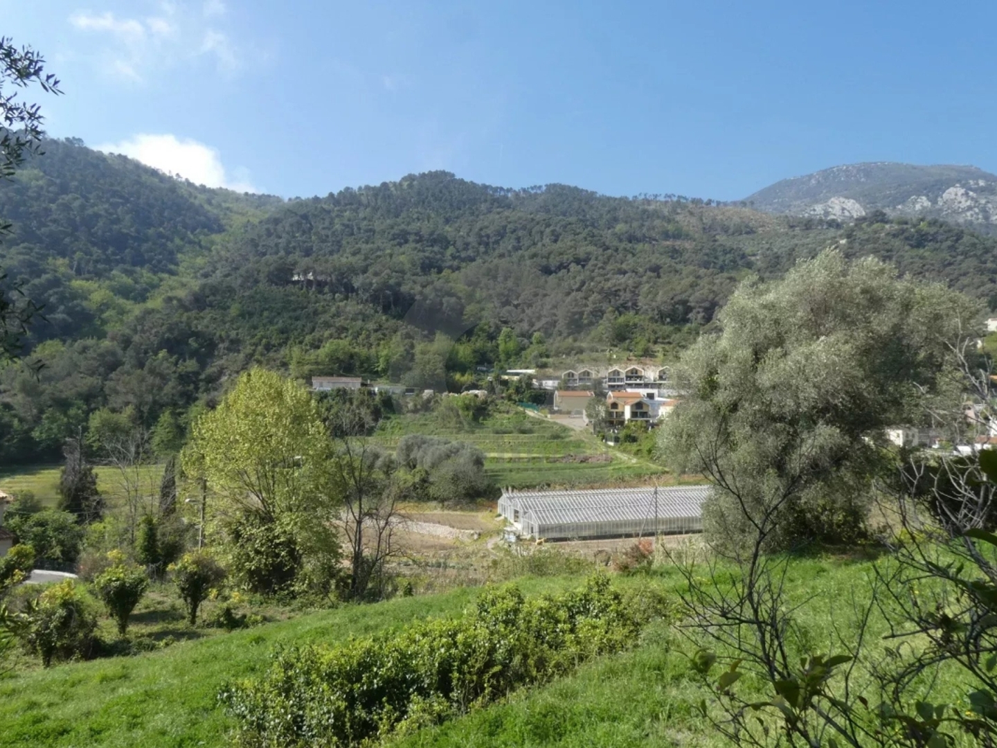 Terrain à vendre - 3000m2 - Gorbio (06500)
