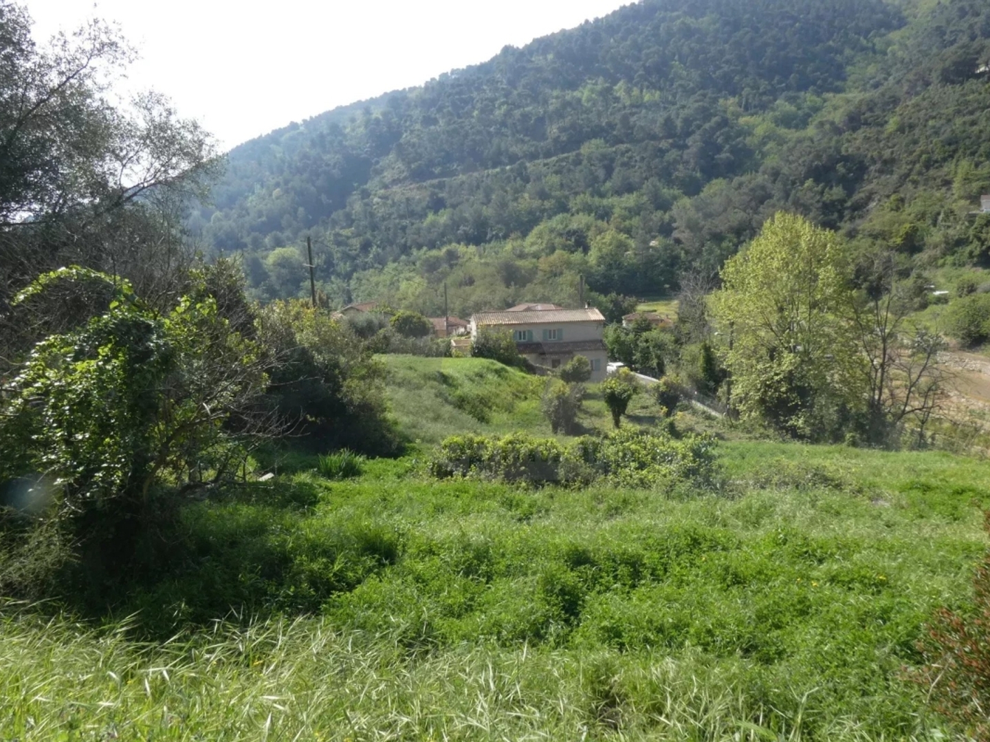 Terrain à vendre - 3000m2 - Gorbio (06500)