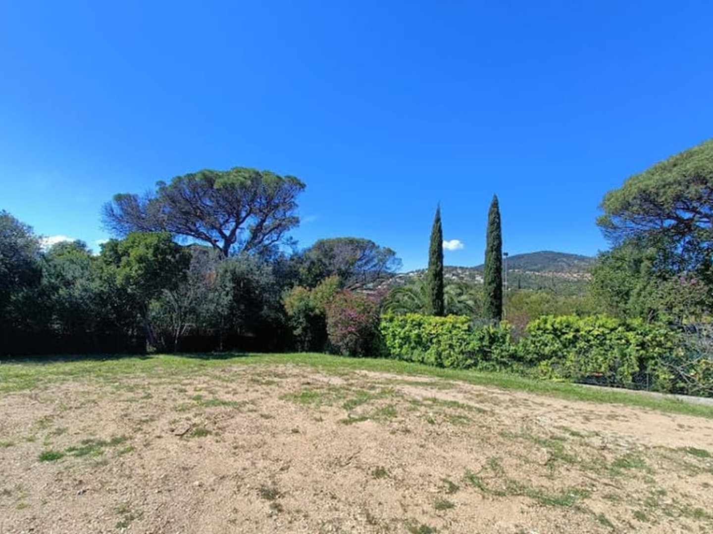 Terrain 705 m²