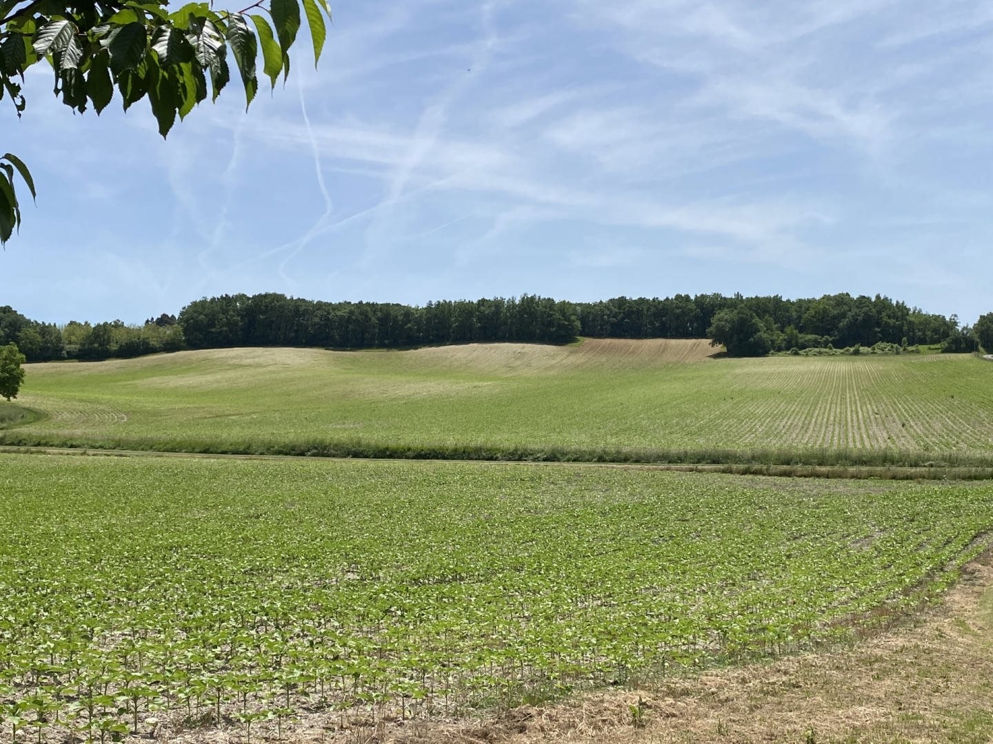 Maison à vendre - 154m2 - Laprade (16390)