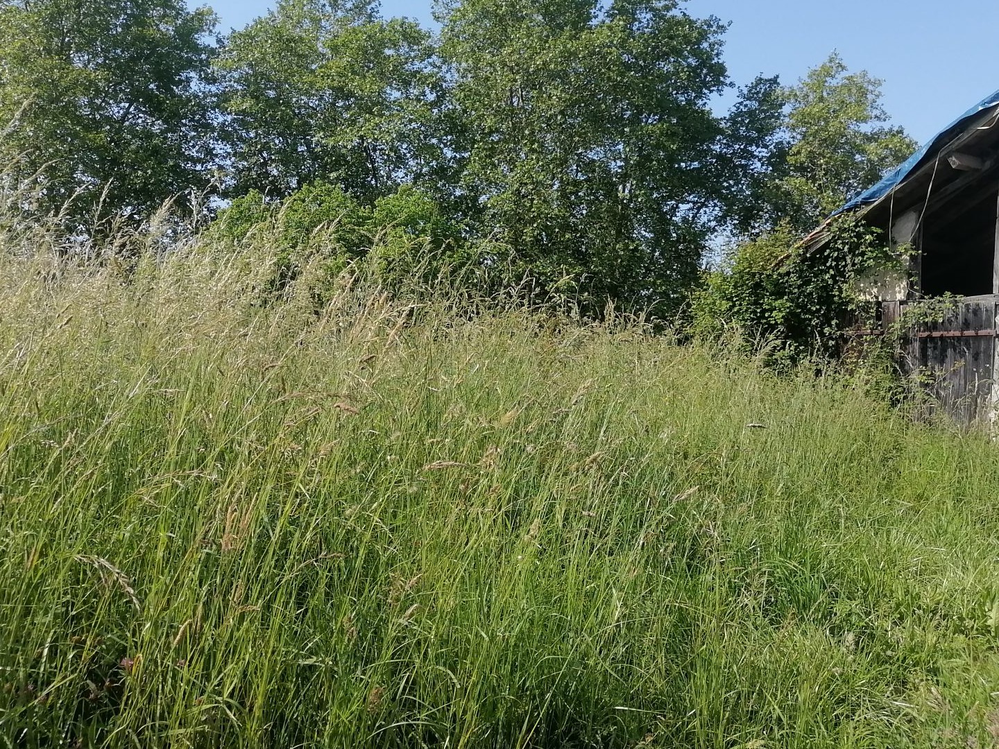 Terrain 2494 m²