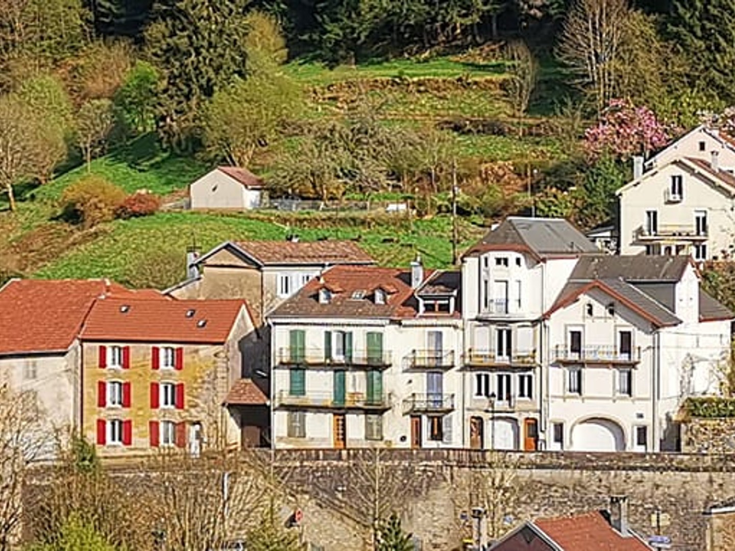 Maison à vendre - 4 pièces - 150m2 - Plombières-Les-Bains (88370)