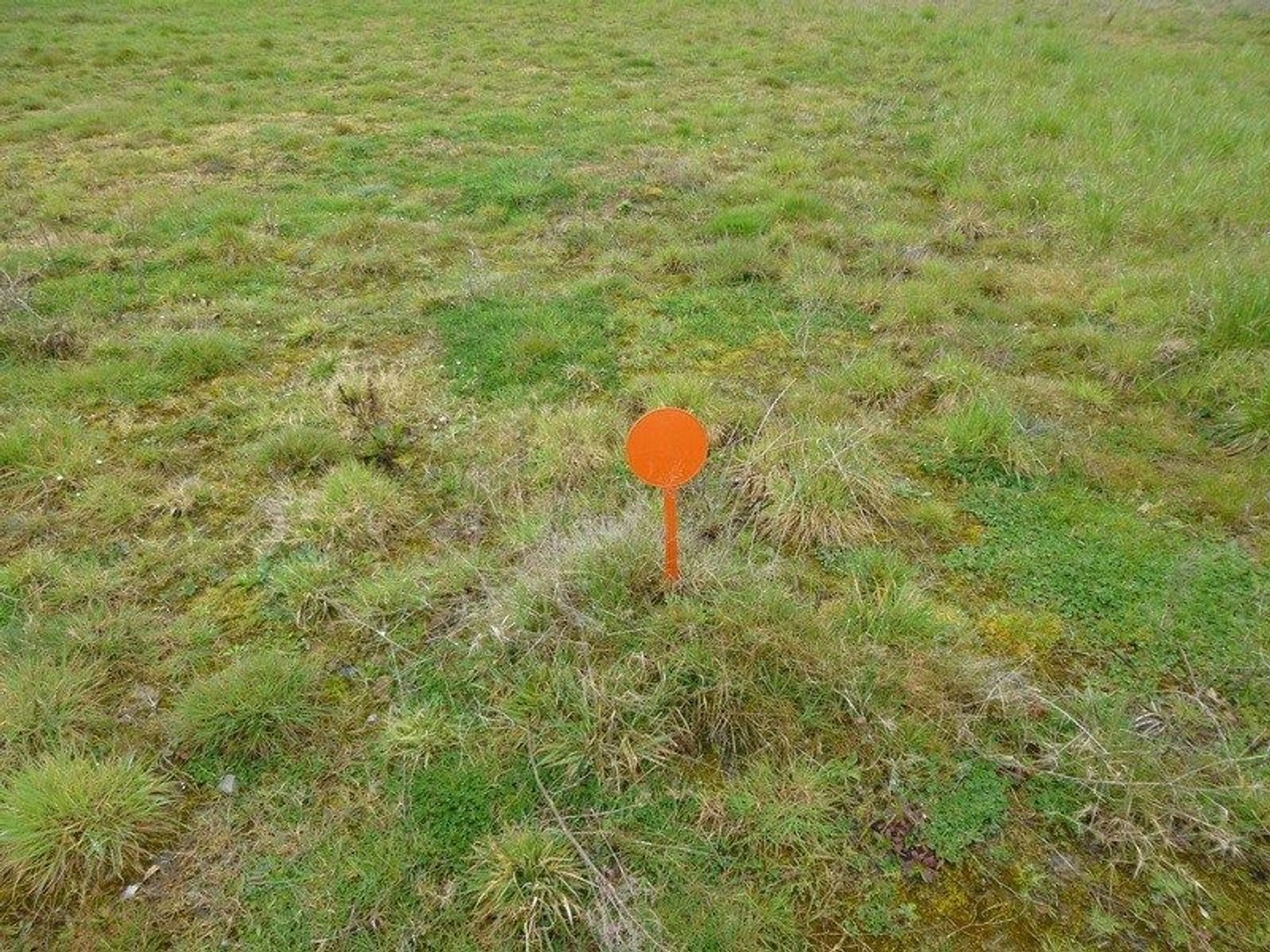 Terrain 591 m²