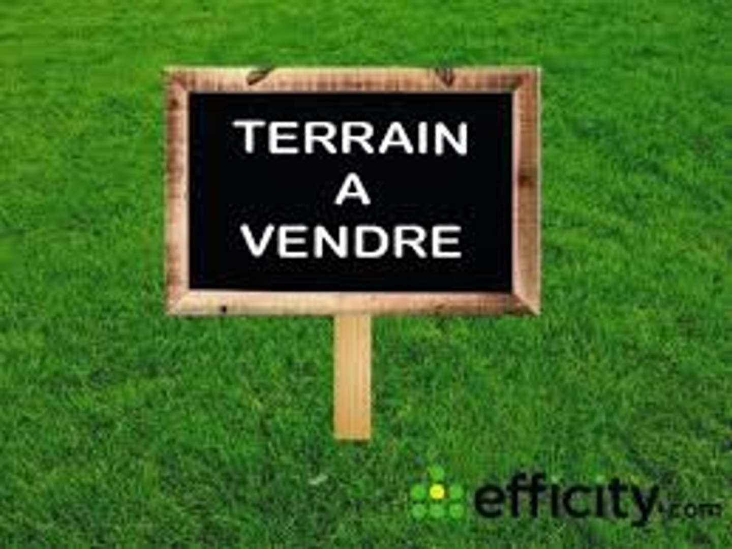 Terrain 541 m²
