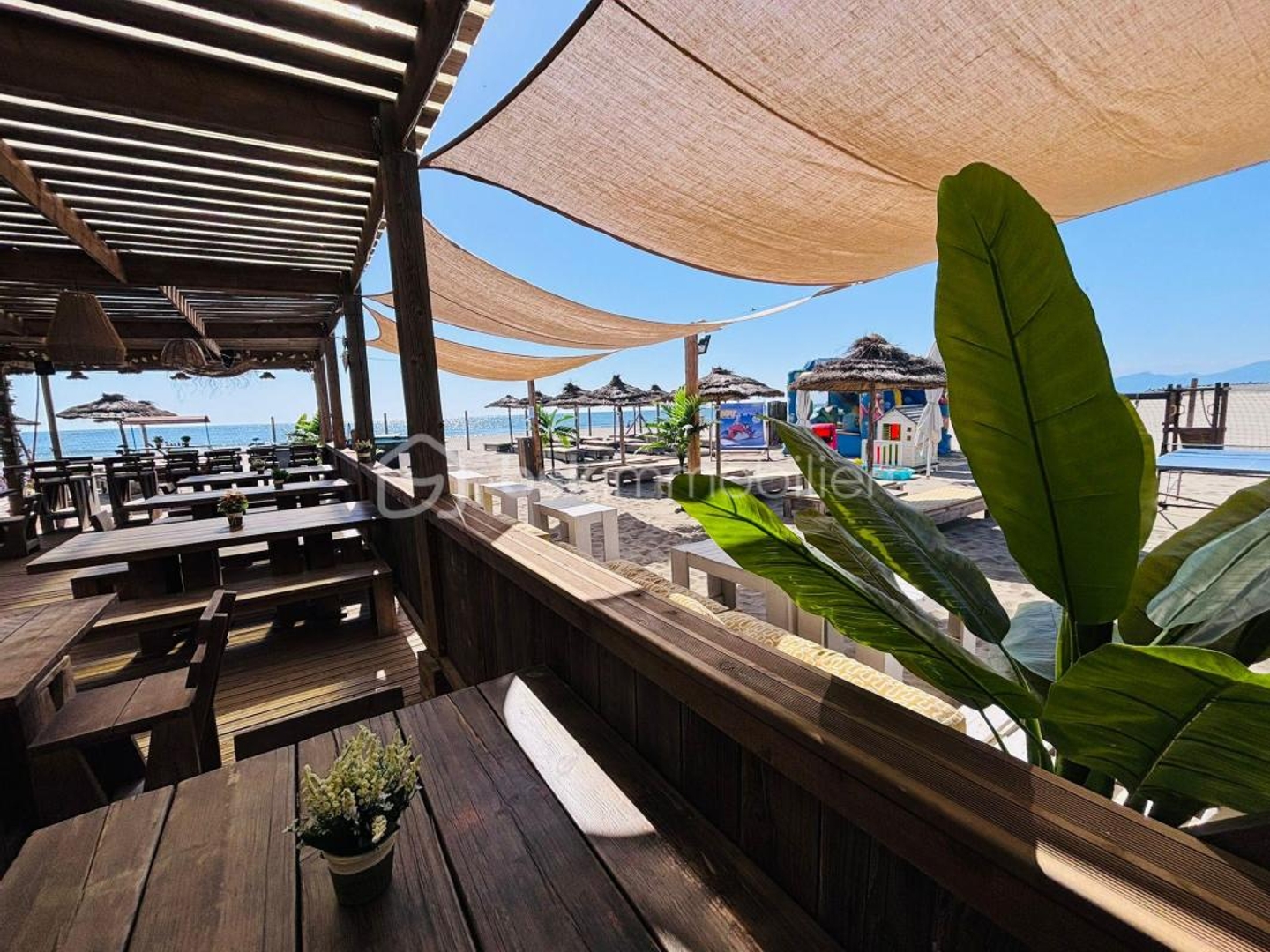 Magasin à vendre - Canet-En-Roussillon (66140)