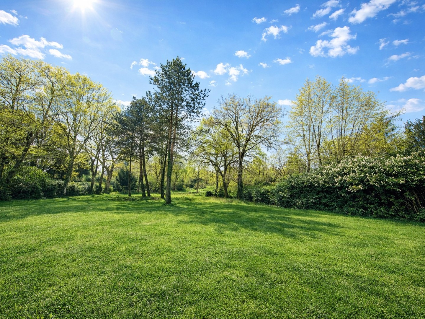 Terrain 12000 m²