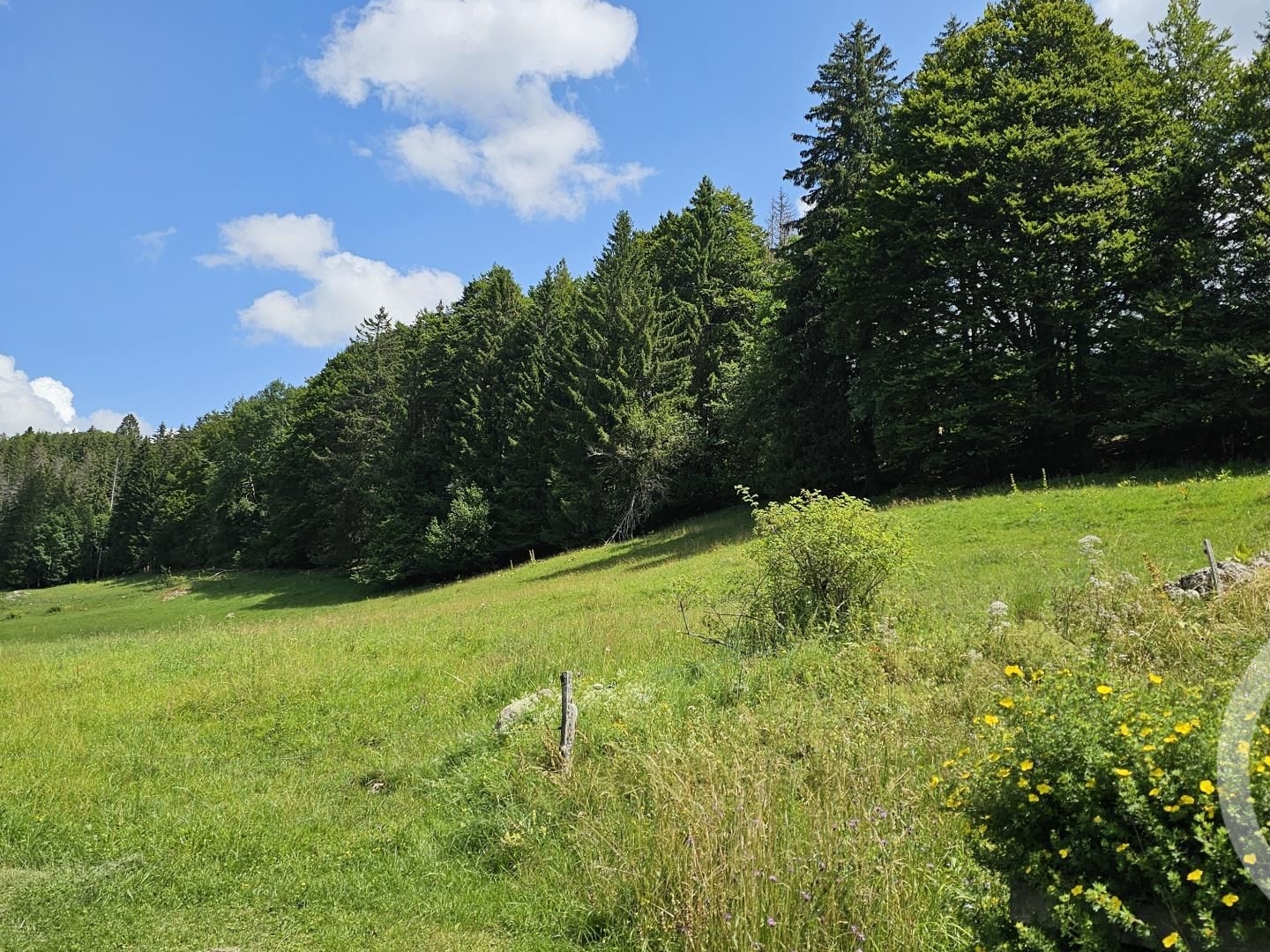 Terrain 7143 m²