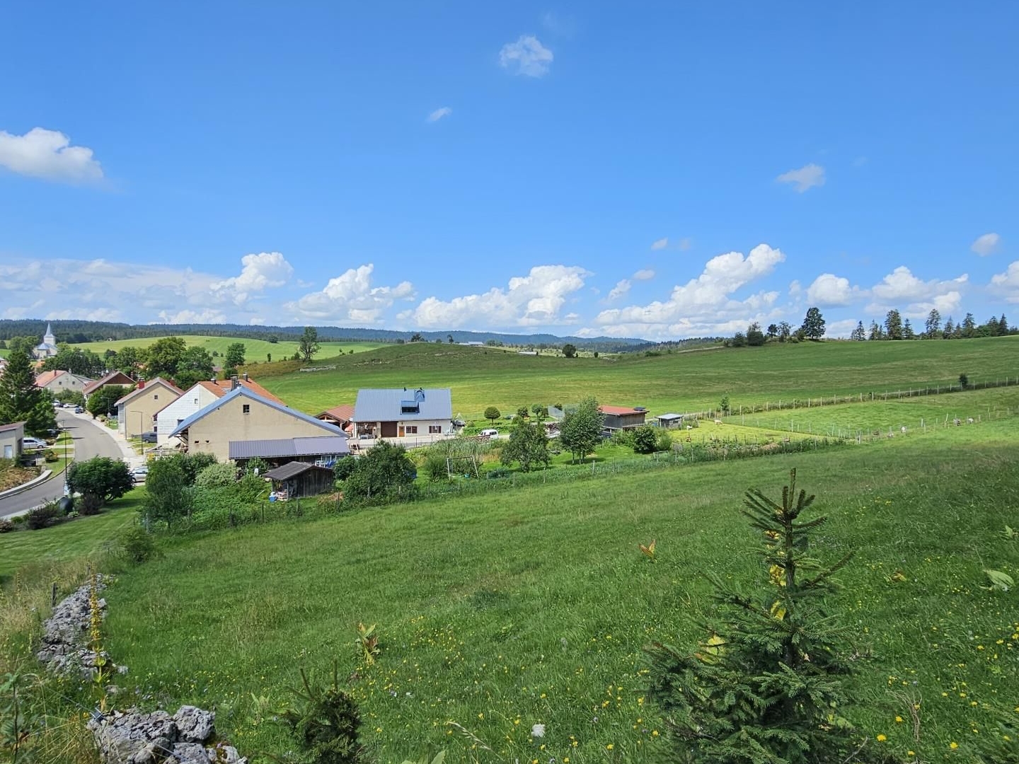 Terrain à vendre - 7143m2 - Chaux-Neuve (25240)